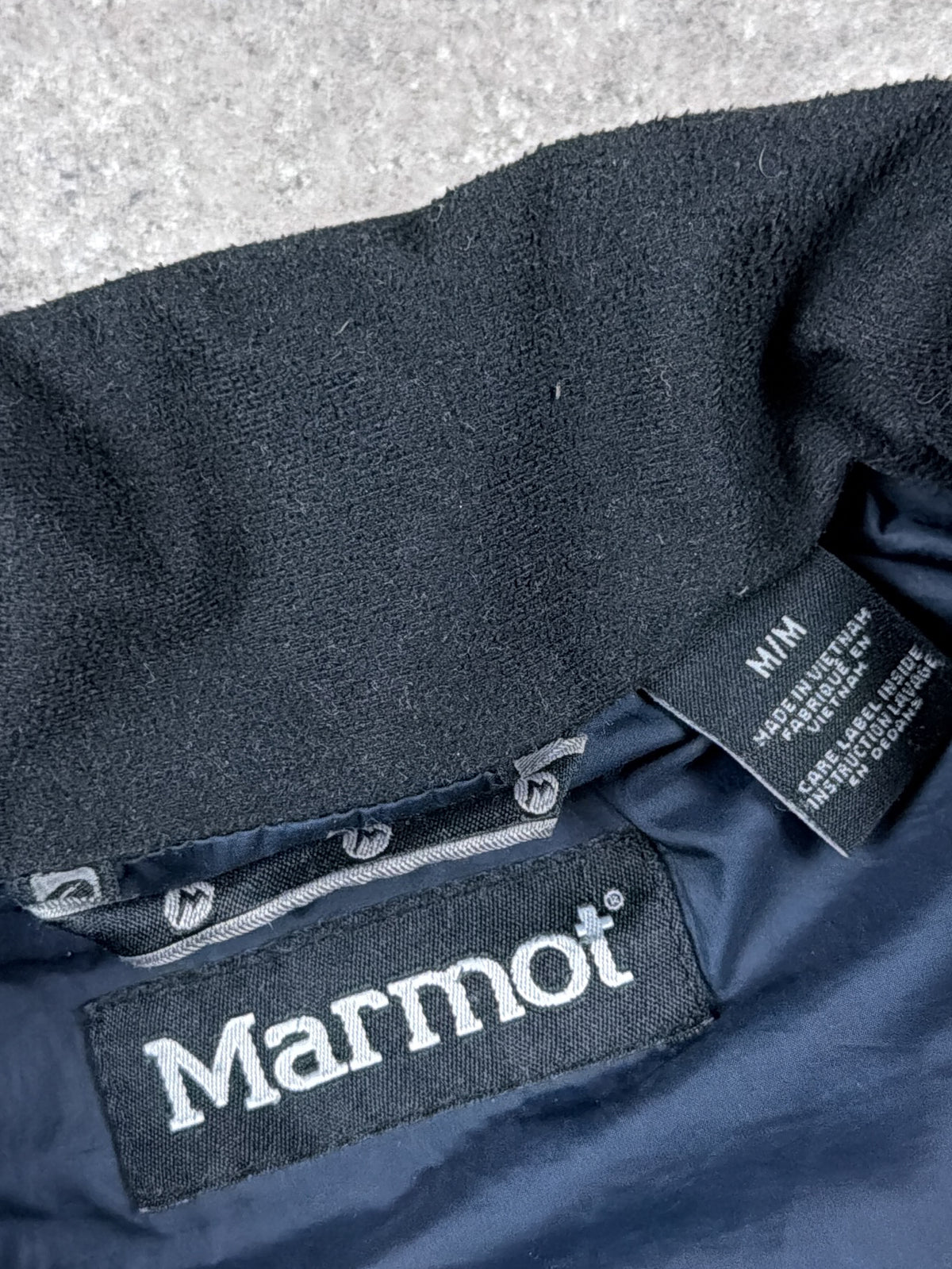 Marmot