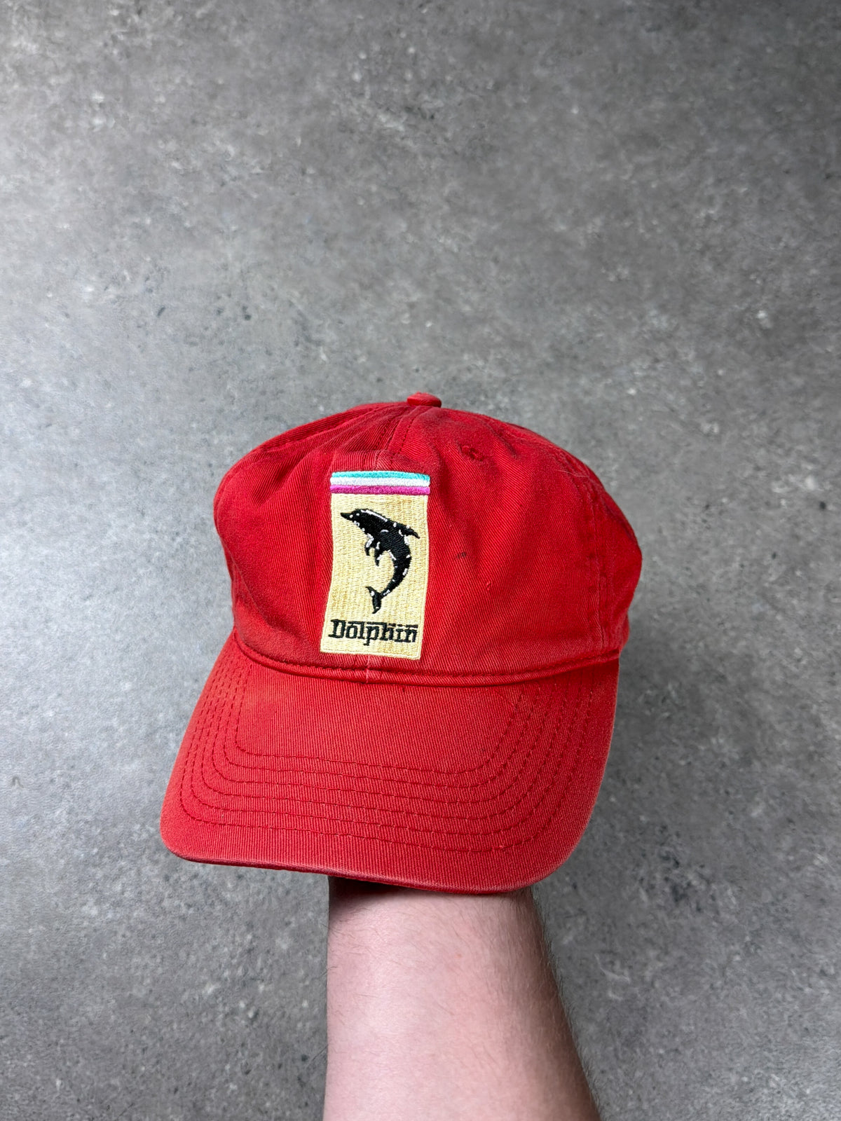 Dolphin
