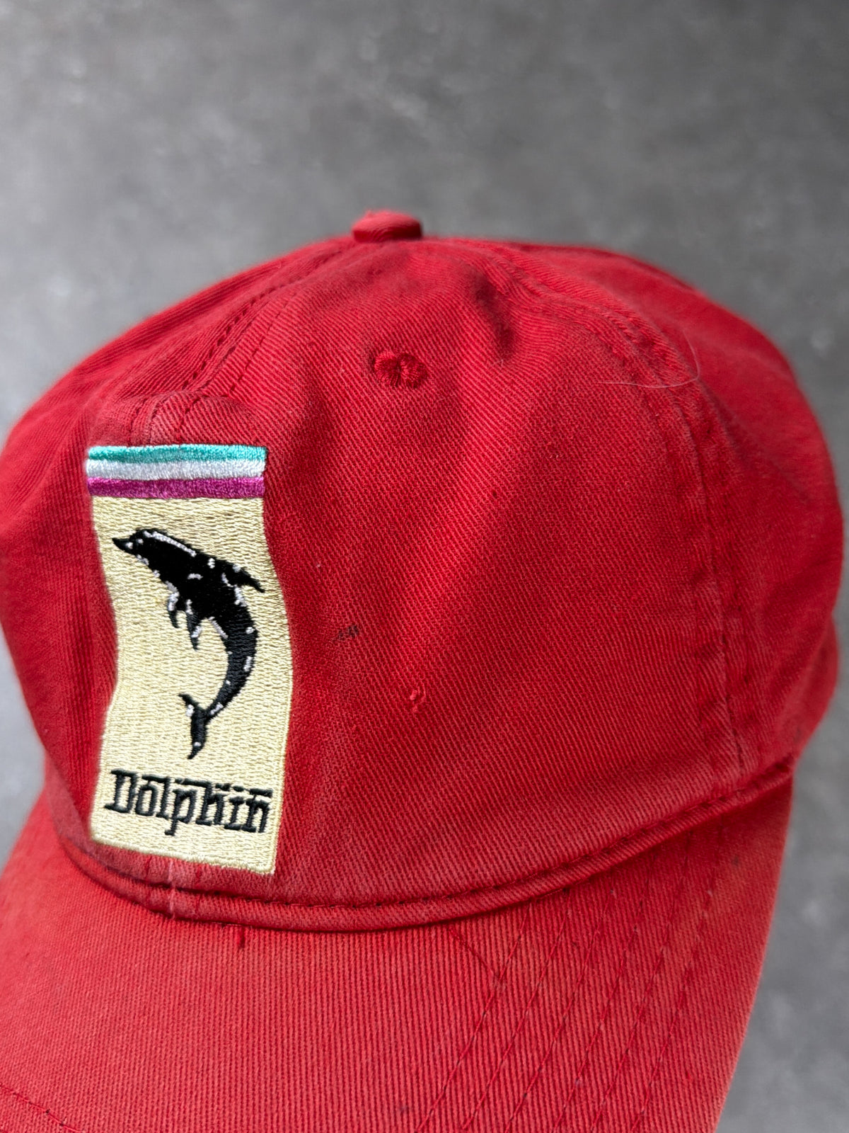 Dolphin
