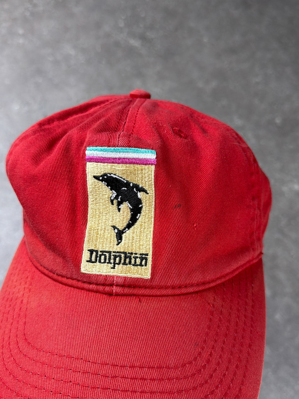 Dolphin